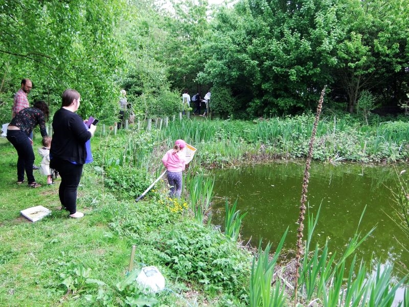 Mires Beck Nursery